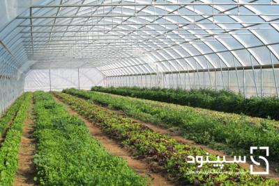 خلاصه طرح توجیهی احداث مجتمع پرورش گلخانه‌ای گل و صیفی جات با هدف صادرات- زمستان 96